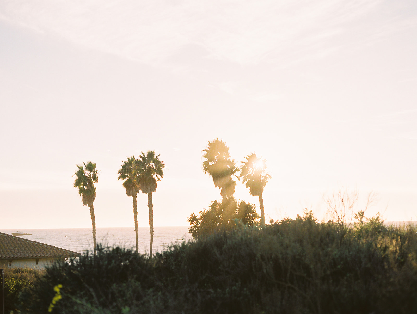 Stunning Santa Barbra engagement session by heather Anderson Photography