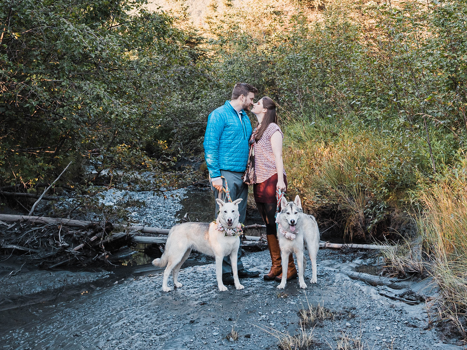 love and dogs in eagle river Alaska